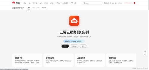 華為云云耀云服務(wù)器L實例深度評測 了解配置與管理，體驗‘秒快’云魅力